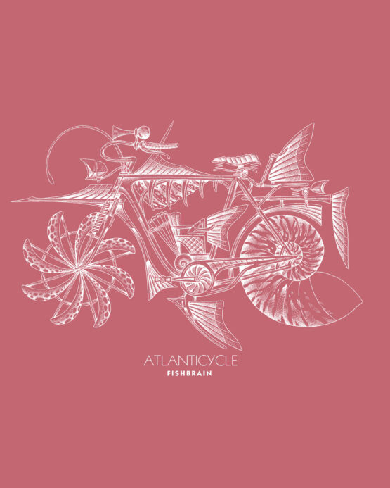 ATLANTICYCLE  ♂️♀️ – Image 2